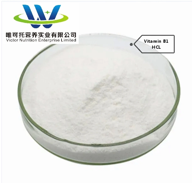 CAS 532-43-4 La vitamina B1 (tiamina Momo nitrato) en polvo, con el mejor precio