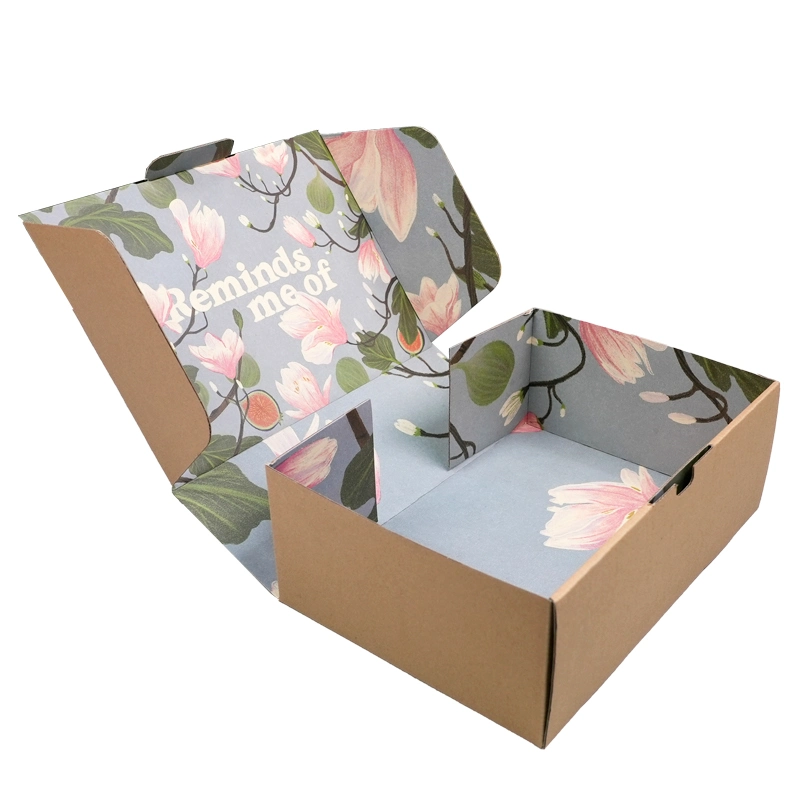 Full Color Printing Double Side Custom Zip Lock Shipping Mailer Box