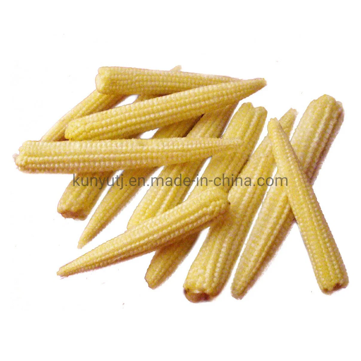 Manufacturer Canned Food Vegetables Bulk Wholesale/Supplier 2840g Canned Baby Corn with Factory Price