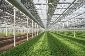 New Design Agricultural Insulated Glass Float Glass Solar Greenhouse Glass