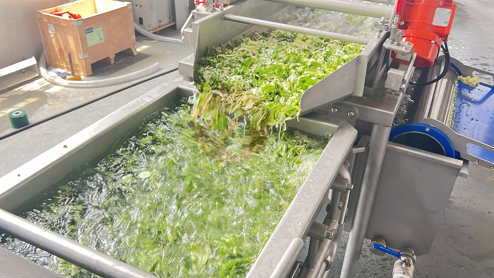 Vortex Lettuce Washing Machine Salad Washing Machine for Sale