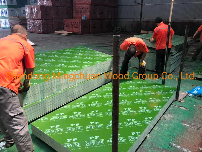 18mm Green PP Plastic Film Faced Plywood Shuttering Plywood PVC Board