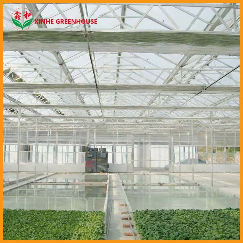 Multi Span Flower House Garden Fruits Glass Conservatory Tunnel Greenhouse with Hydroponic System