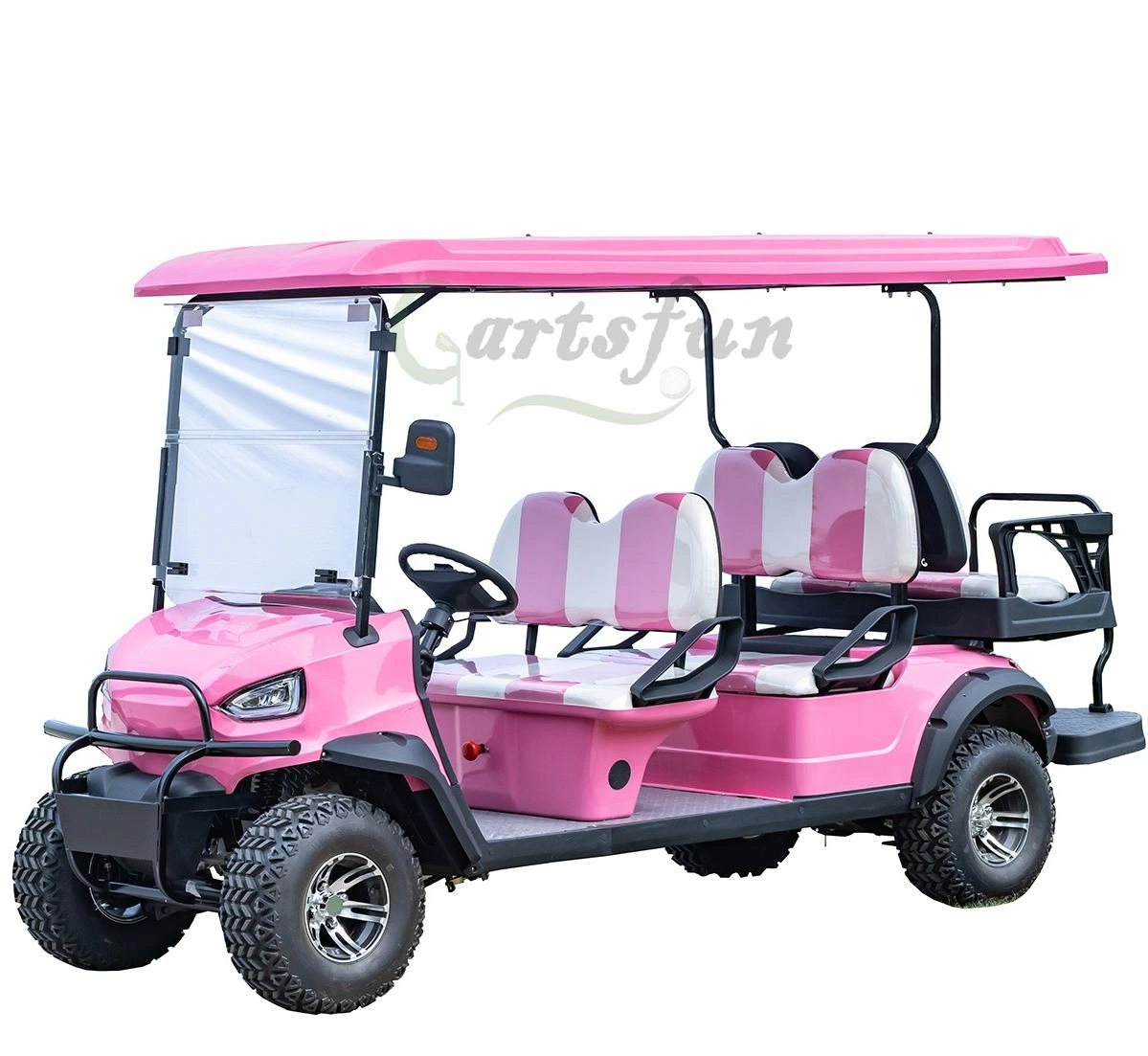 4 Wheel 8 Seater Touch Screen Legal Gas Electric Golf Car