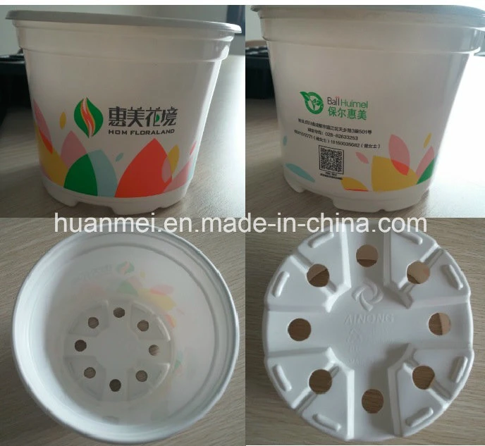 Colorful Printing Flower Pot, Customized Designed Pot, Upc Scanable Pot