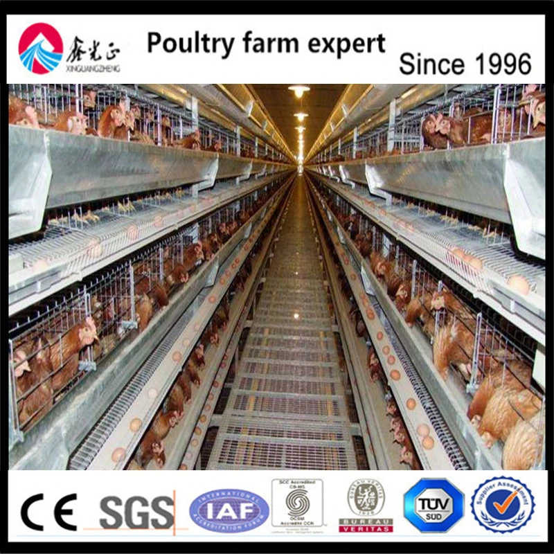 Factory Supply High quality/High cost performance  Poultry Farm Equipment Chiken Battery Layer Cage for Poulty Farm