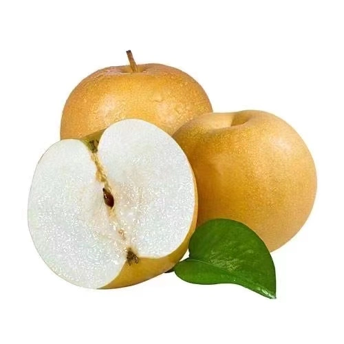 Super Quality Delicious Singo Pear /Asian Pear