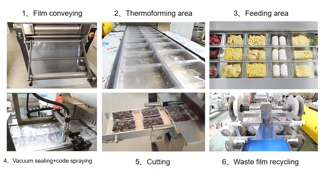 Lebensmittel Fleisch Fisch Obst Automatische Stickstoff-Gasfüllung Thermoforming Vakuum Verpackungsmaschine