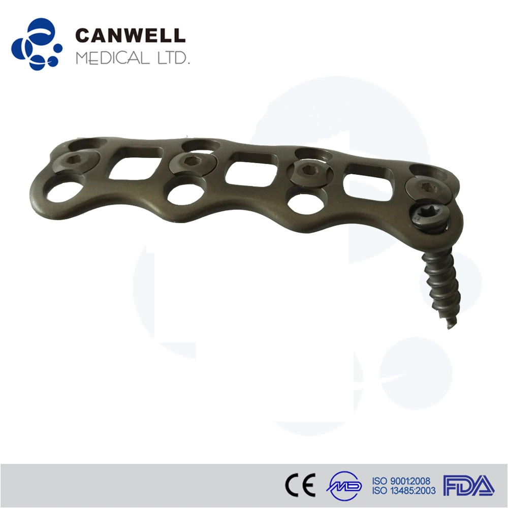 Spinal Implants Anterior Cervical Plate Orthopedic Implants Titanium Plate