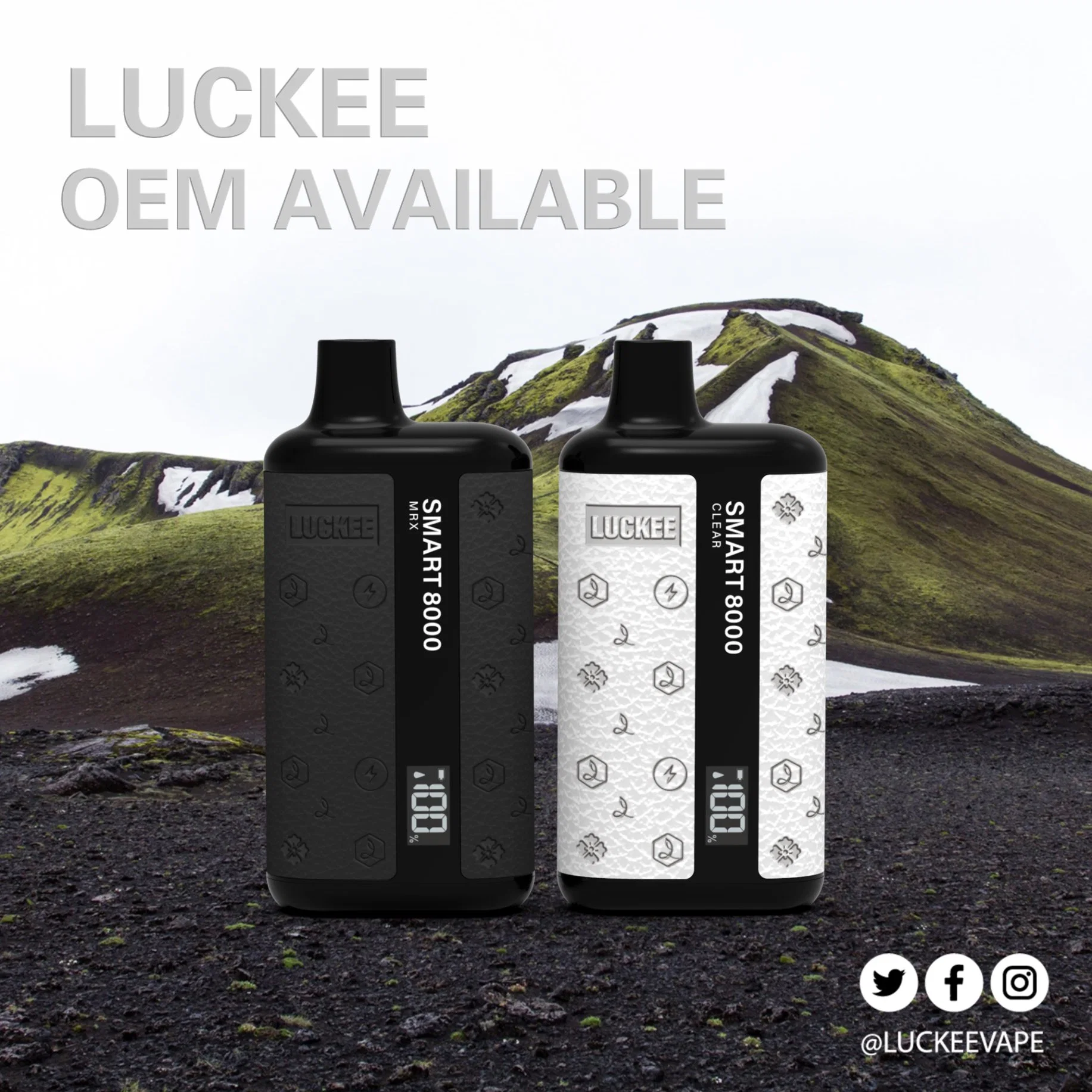 Luckee OEM ODM 8000 Puff 20 Ml Digital Screen Wholesale/Supplier I Disposable/Chargeable Vape Custom Vaporizer Pen