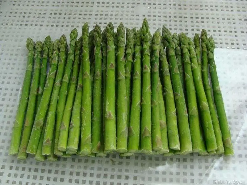 IQF Frozen Green Asparagus Spears Cuts Grade A