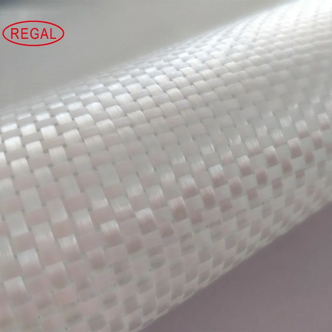 China Manufacturer Hot Sale Fiber Glass Fiberglass Cloth