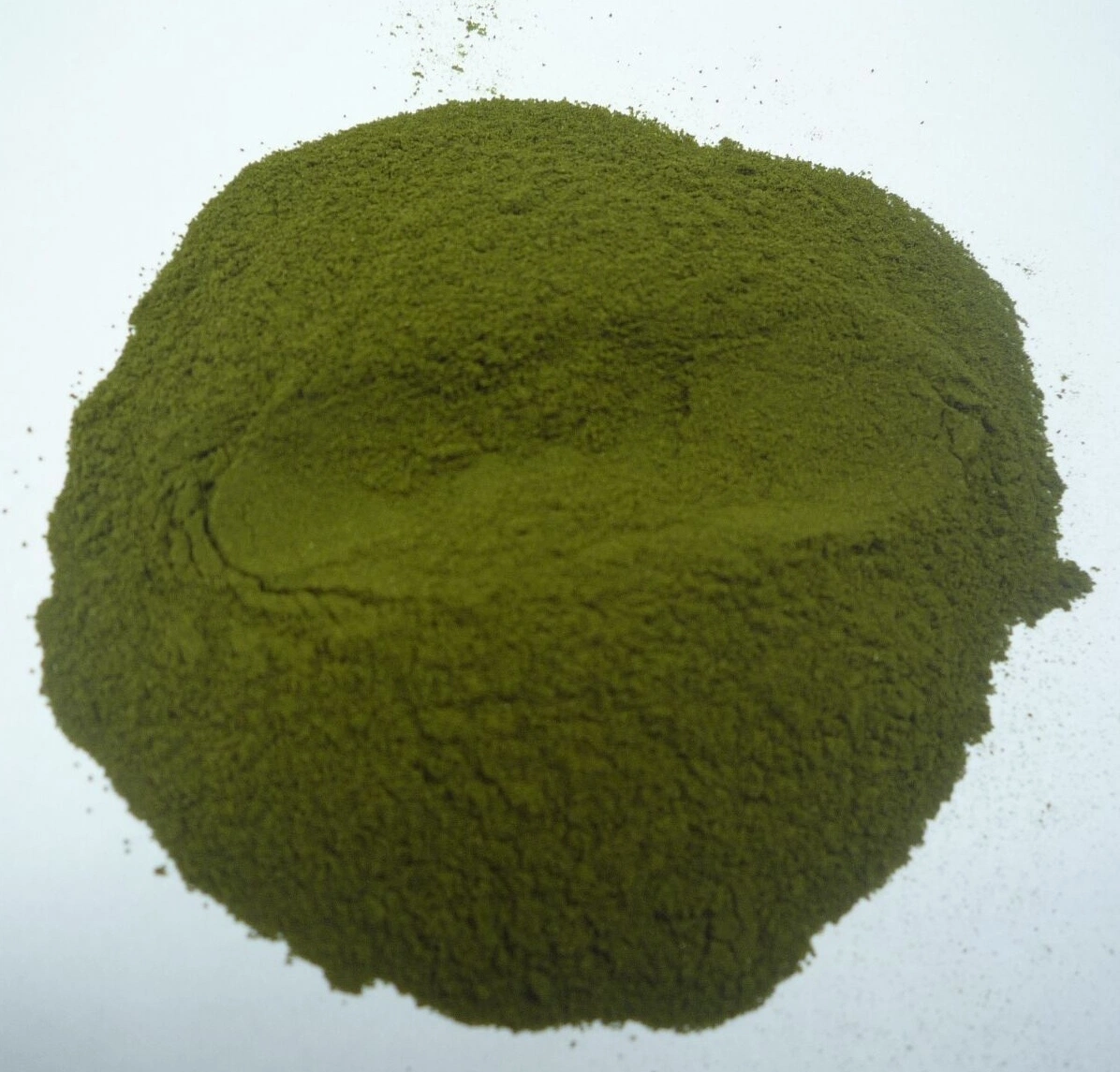 Competitive Price Wheat Grass Powder/ Wheat Grass Juice Powder