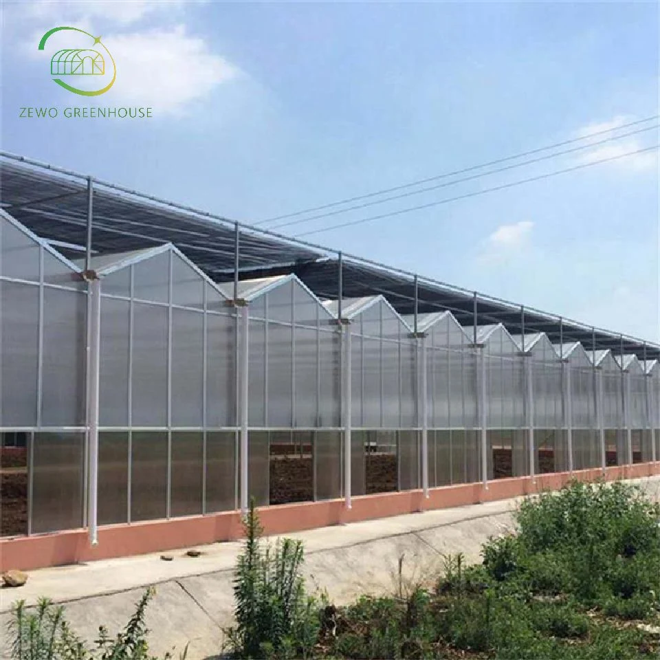 Multi-Span Poly Carbonate Agricultural Greenhouse for Tomato/ Cucumber/ Lettuce/ Pepper Planting