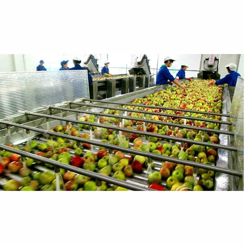 2000-5000kg Industrial Fruit Juice Processing Plant Production Line