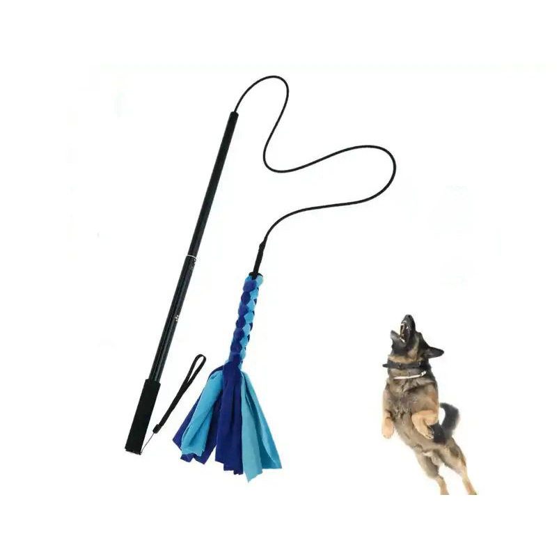 Custom Wholesale Multifunction Interactive Pet Training Telescopic Pole