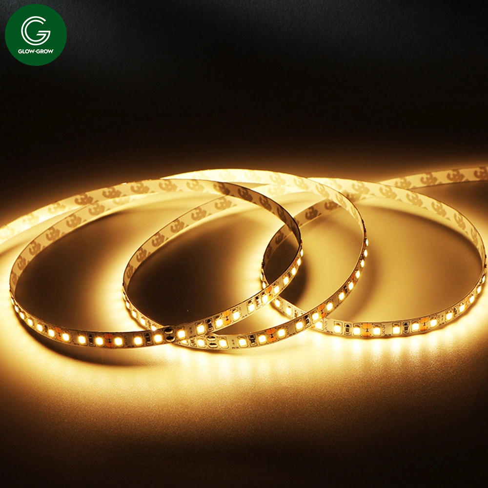 Warm White Factory 6mm Width IP20 2835 120 LEDs/M Naked Strip Light Tape Light for Commercial Places Event Decoration