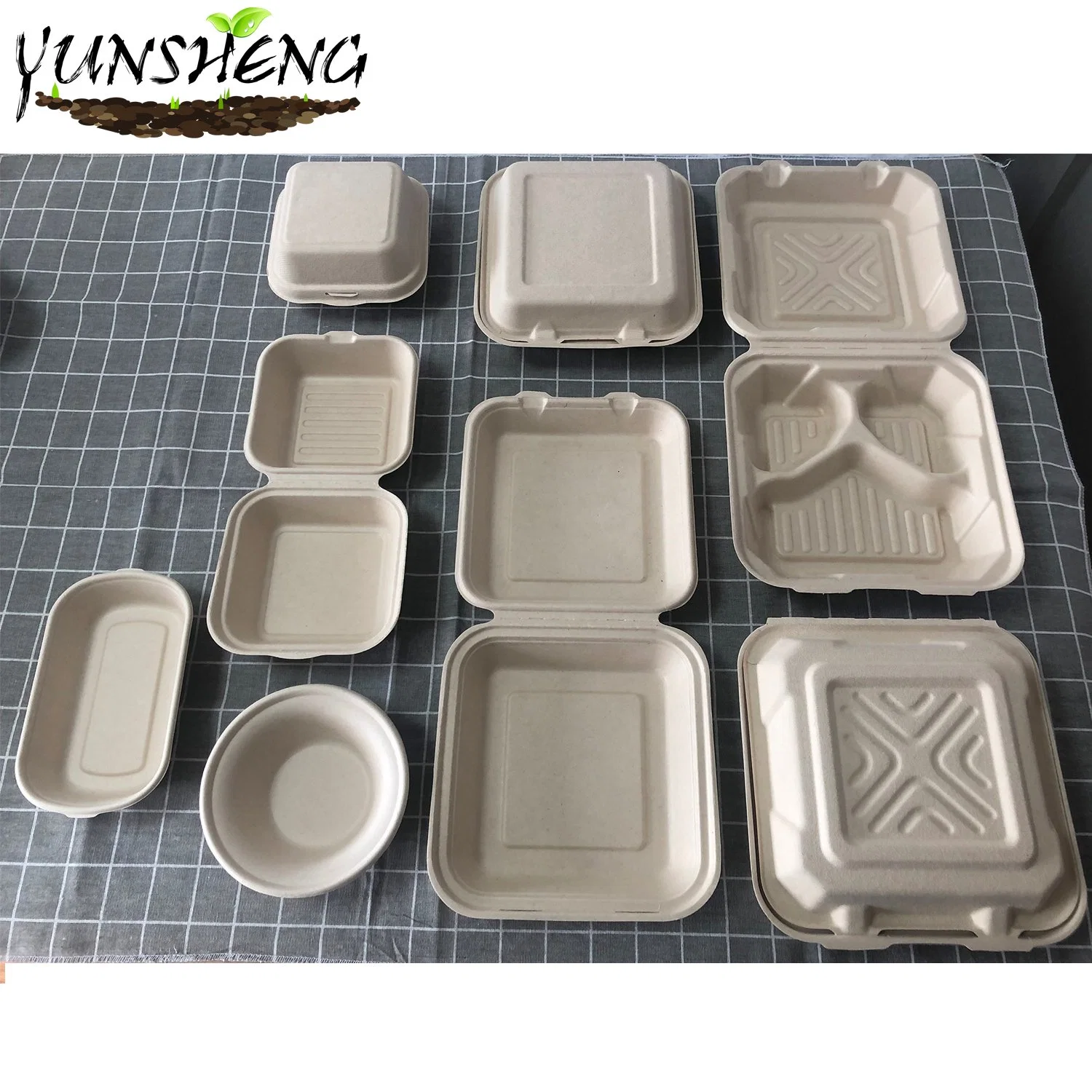 Microwavable Disposable Sugarcane/Wheat Straw/Bamboo Pulp/Firber 100% Compostable Tableware