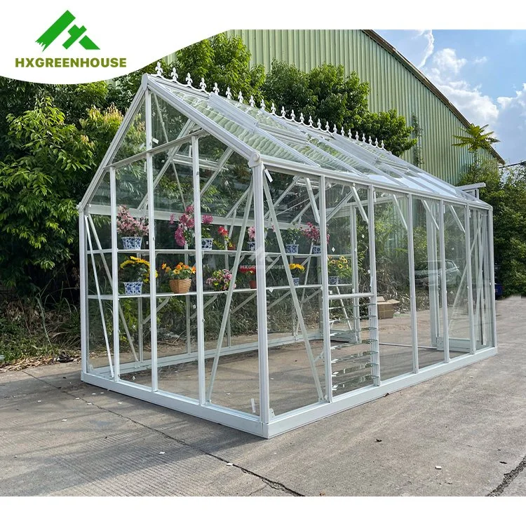 Serre en verre mini jardin en aluminium avec cadre en métal pour l'extérieur, utilisée à vendre