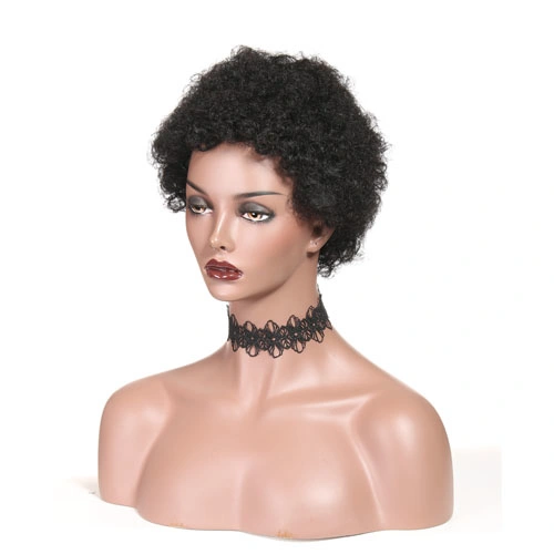 Afro Wigs for Black Women Short Human Hair Wigs