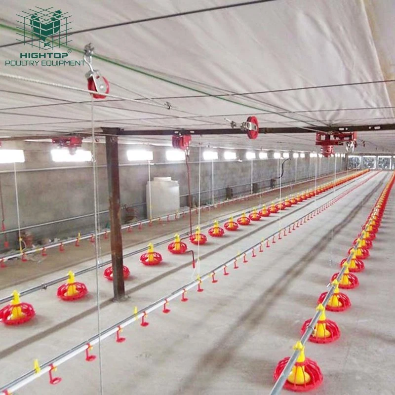 Hot Sale Poultry Farm Automatic Broiler Floor Raising Chicken Farming Feeding System