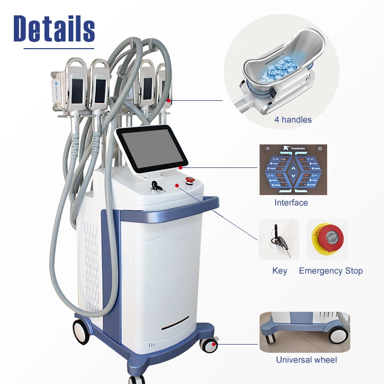 4 Griffe Abnehmen Freeze Fat Cryo Cold Lipolysis Machine 360 Grad