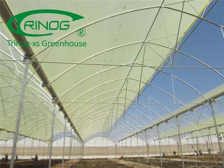 Agriculture Multi-Span Cultivation Hydroponics System Film Greenhouse for Vegetables/Flowers/Tomato/Farm/Garden