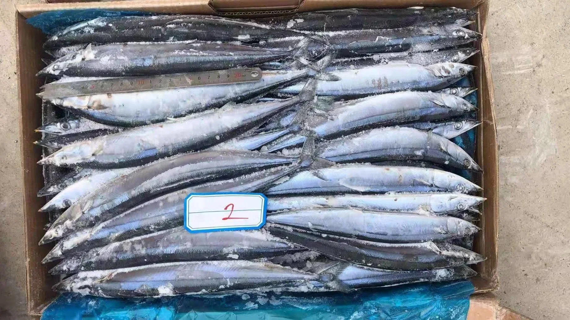 All Size Good Quality Seafood Bqf Fresh Fish Frozen Pacific Saury