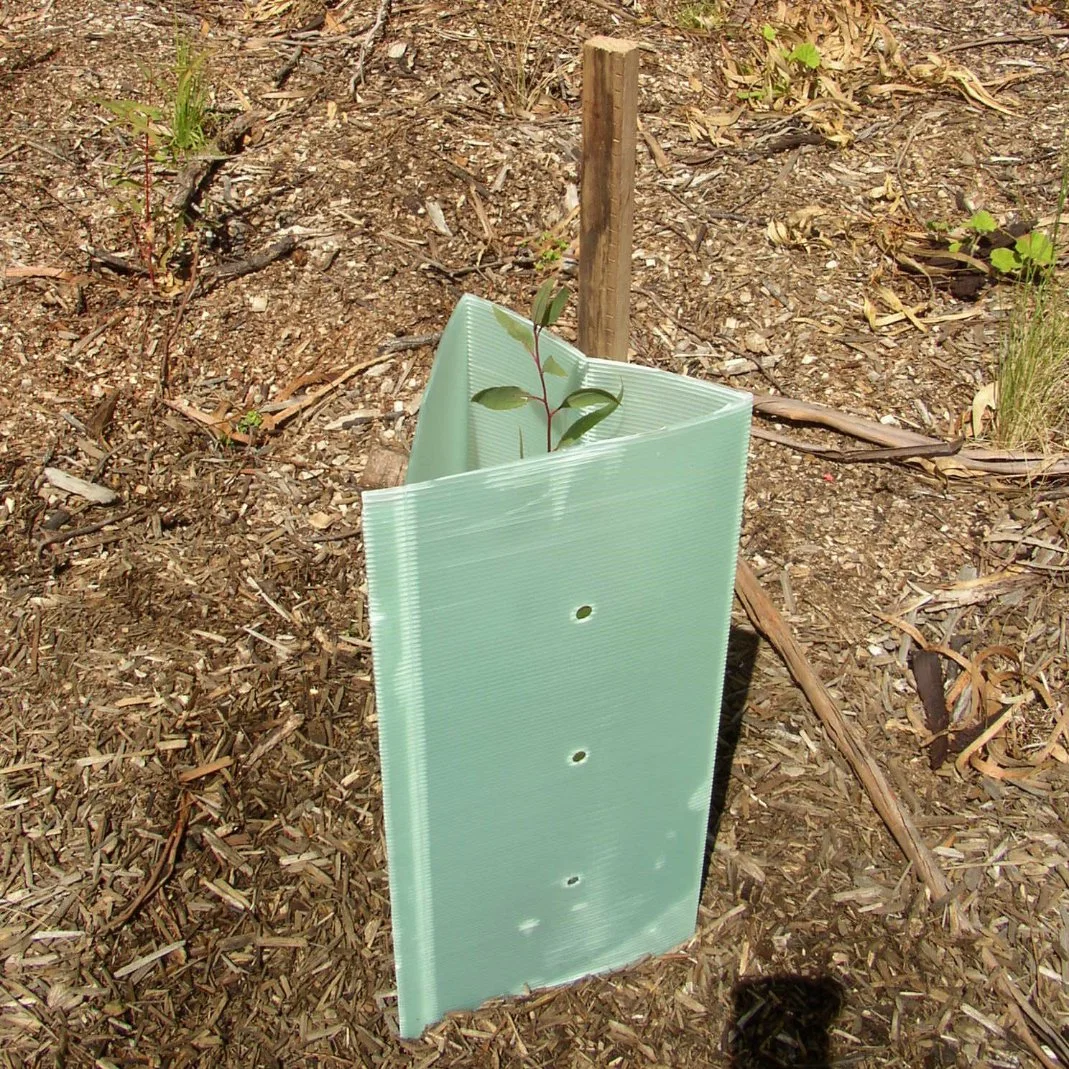 Envoltura de plástico personalizada de la vid Tree Guard Protector de plantas para la Protección de Árboles, plantas de hoja corrugado de animales de la fruta reciclables Protector de la planta /Tree Guard