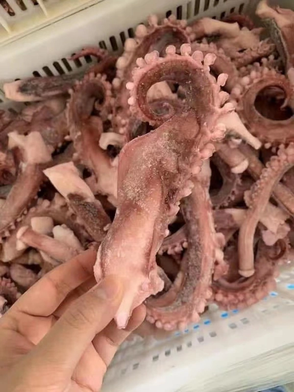 Замороженное морепродукты Squid Calamari Pota щупальца