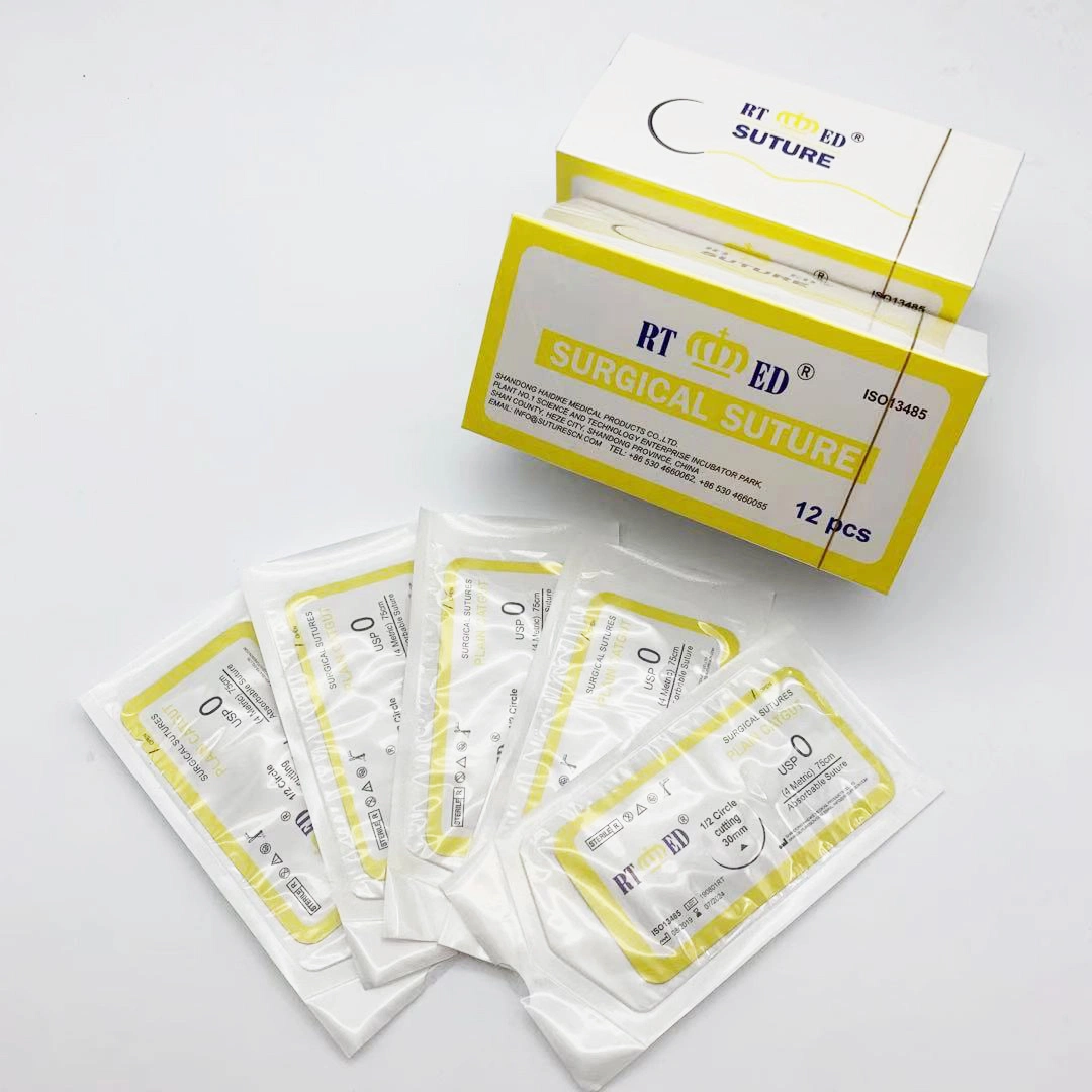 Surgical Suture Absorbable Plain Catgut Suture USP2-6/0