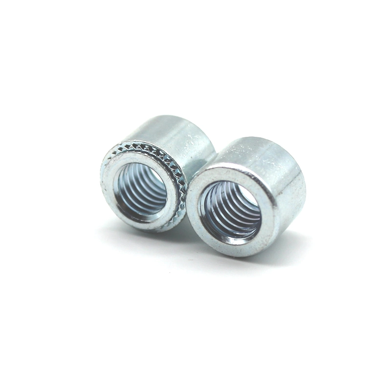 Stainless Steel Clinching Fasteners Rivet Nuts Supplier