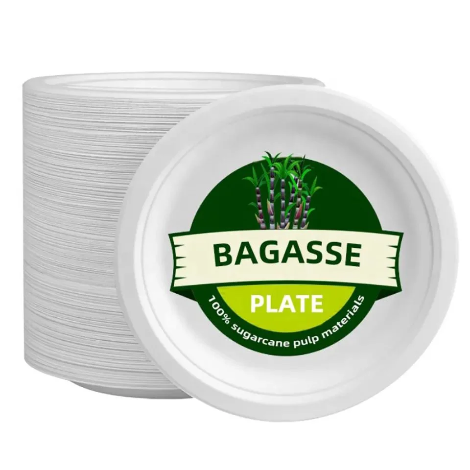 Polpa de bagaço biodegradáveis totalmente descartáveis degradável para ir almoçar Taça da placa da caixa Caixa de saladas sobremesa compostável louça pratos e talheres