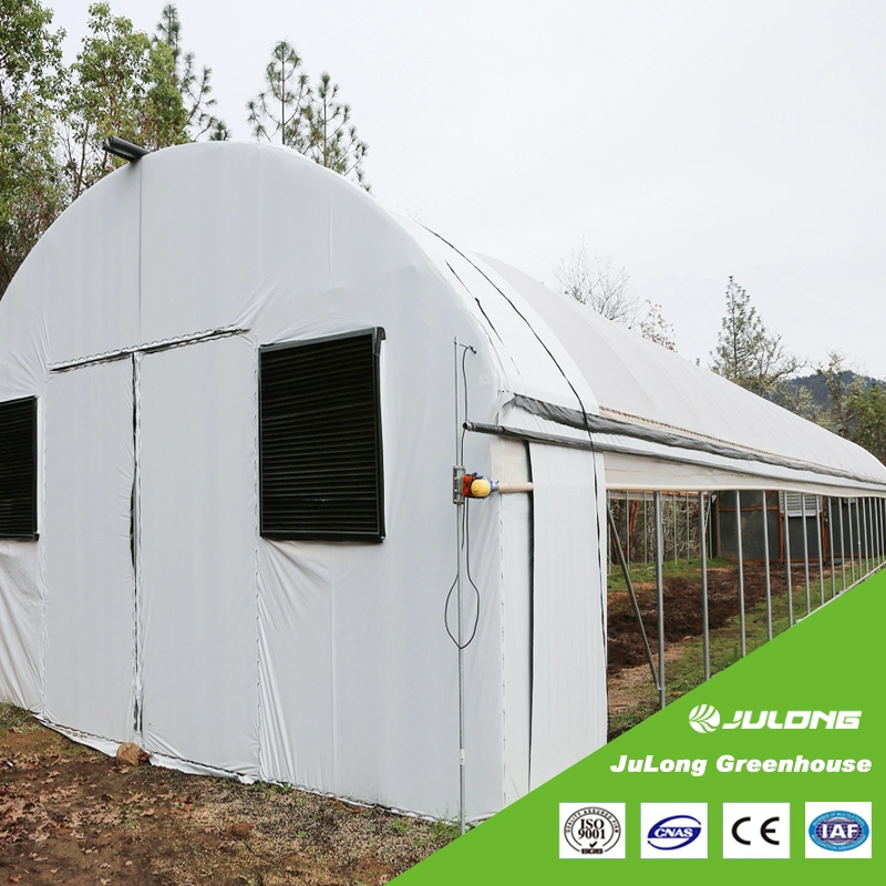 Agriculture Tunnel Light Deprivation Blackout Single Span Film Greenhouse for Medical Plants with LED Grow Lights