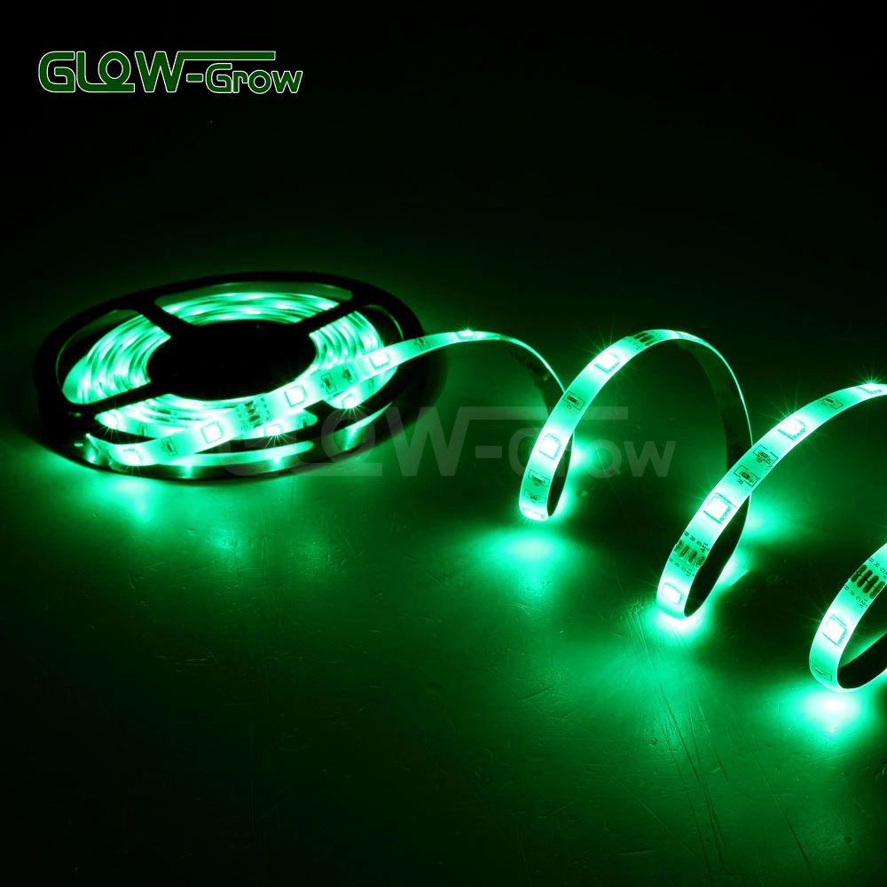 10m 30LEDs/M 3.6W/M 12V/24V Flexible SMD RGB LED Light Strip for Bar Wedding Home Christmas Decoration