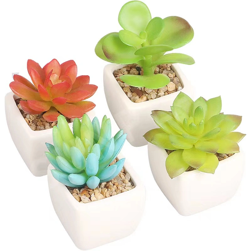 Creativity Succulent Plants Mini Garden Home Decor Craft Flower Pot