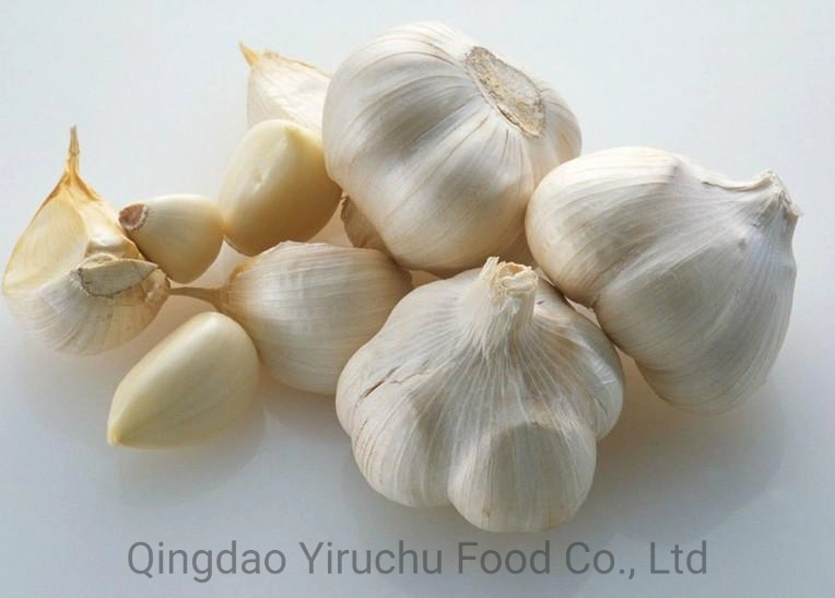 The Best Selling and Hottest Garlic at The Table in Jinxiang, China