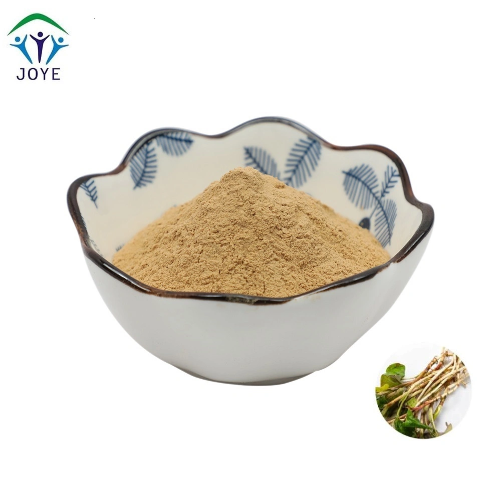 Heartleaf Houttuynia Herb Extract for Curing Heat-Toxicity Used in Functional Beverage