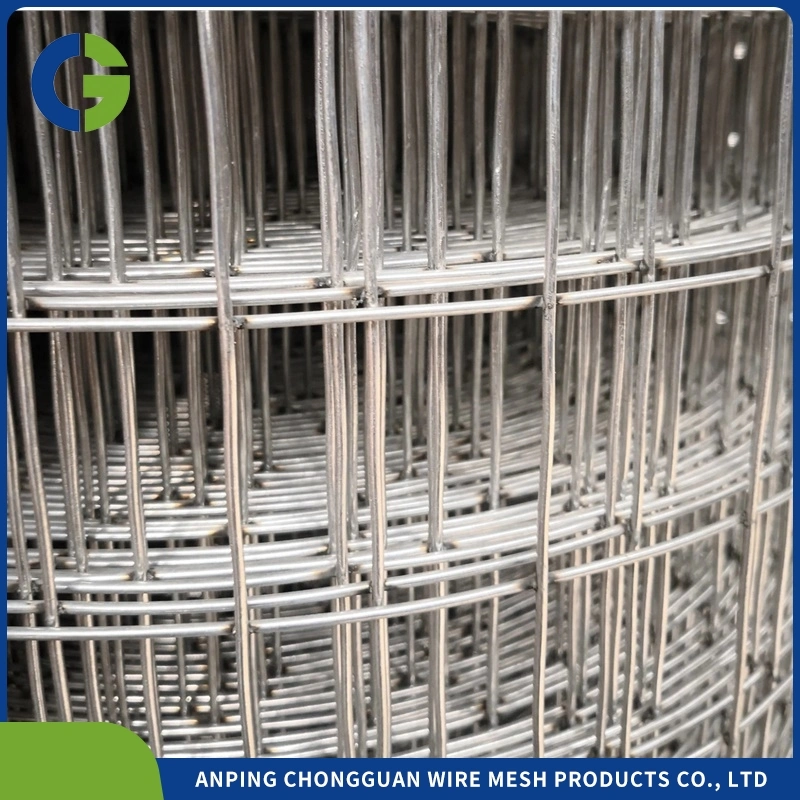 Silver Electro Galvanized/ Hot Dipped Galvanized Welded Wire Mesh Roll and Panel