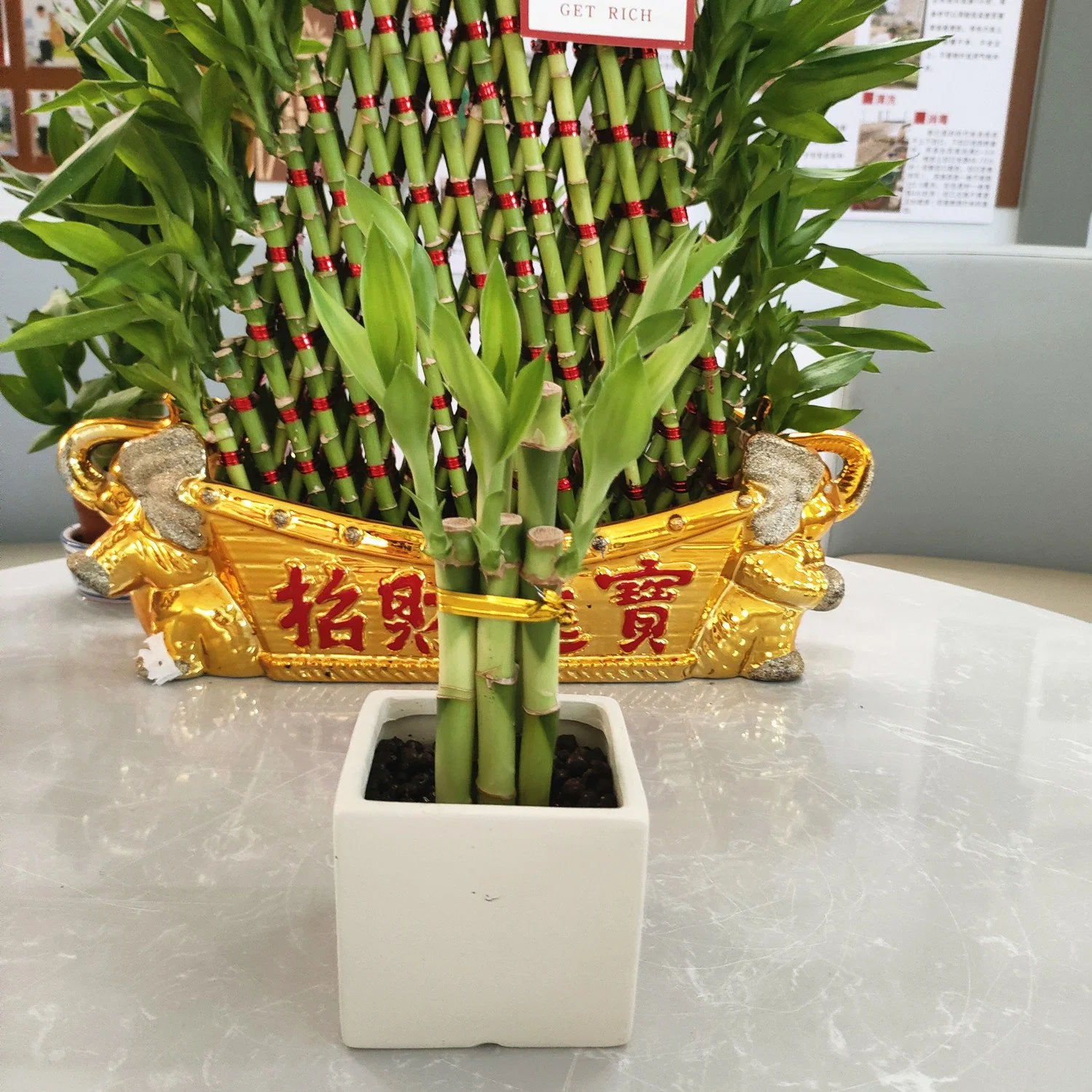 Sorte de hastes de bambu de flores artificiais Evergreen Fengshui as plantas vivem por grosso