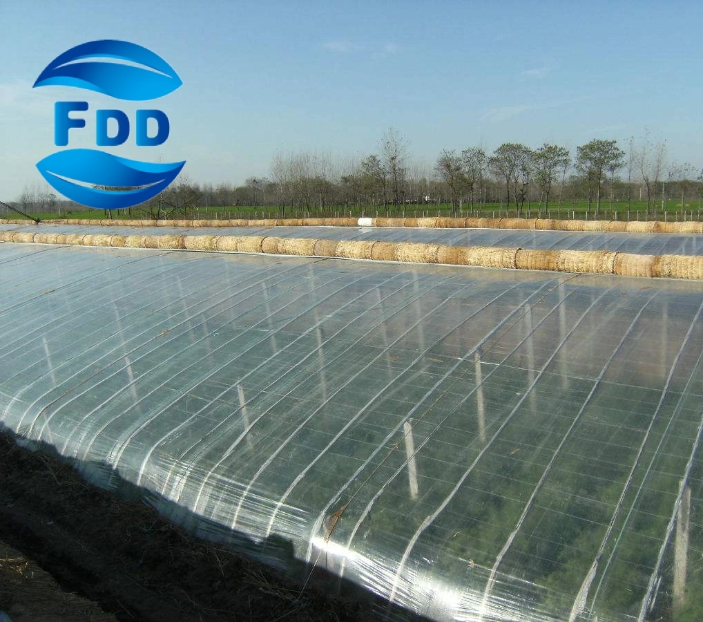 FDD UV Protection and Excellent Tensile Strength Durability Greenhouse Plastic Film Po Film