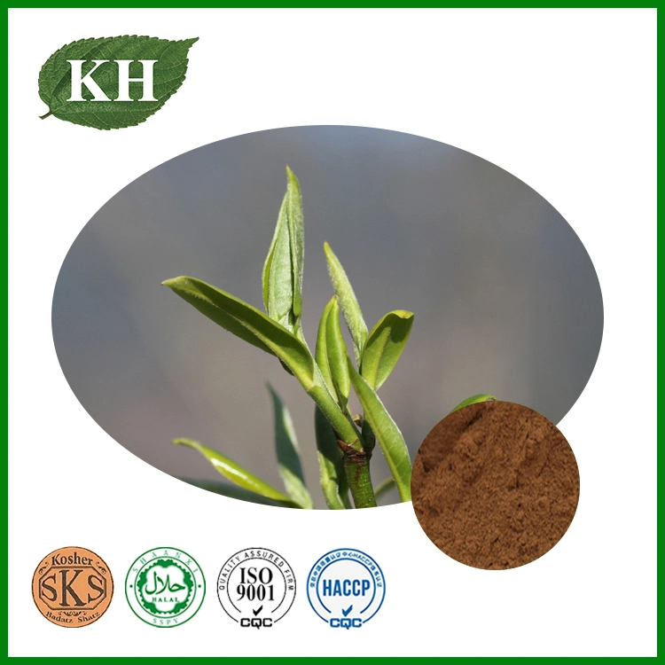 High quality/High cost performance  Black Tea Extract Theaflavines