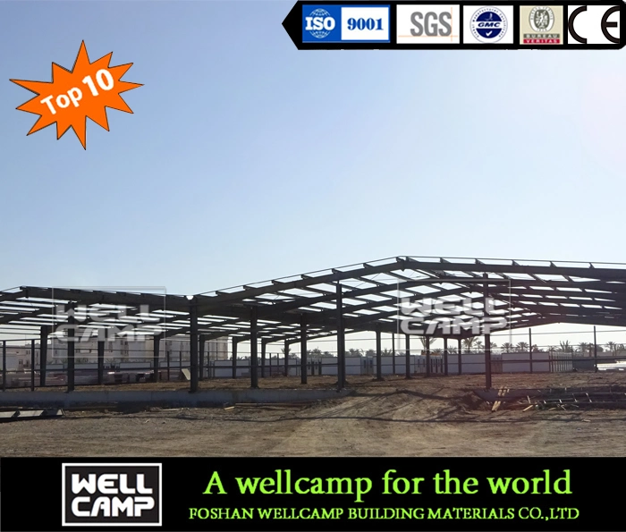 Wellhcamp Light Steel Structure Warehouse/Workshop
