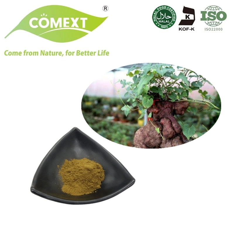 Comext Chinese Herb Extract He Shou Wu Extract