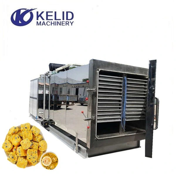 Dragon Fruit Mango Kiwi Fruits Industry Vacuum Freeze Drying Equipment