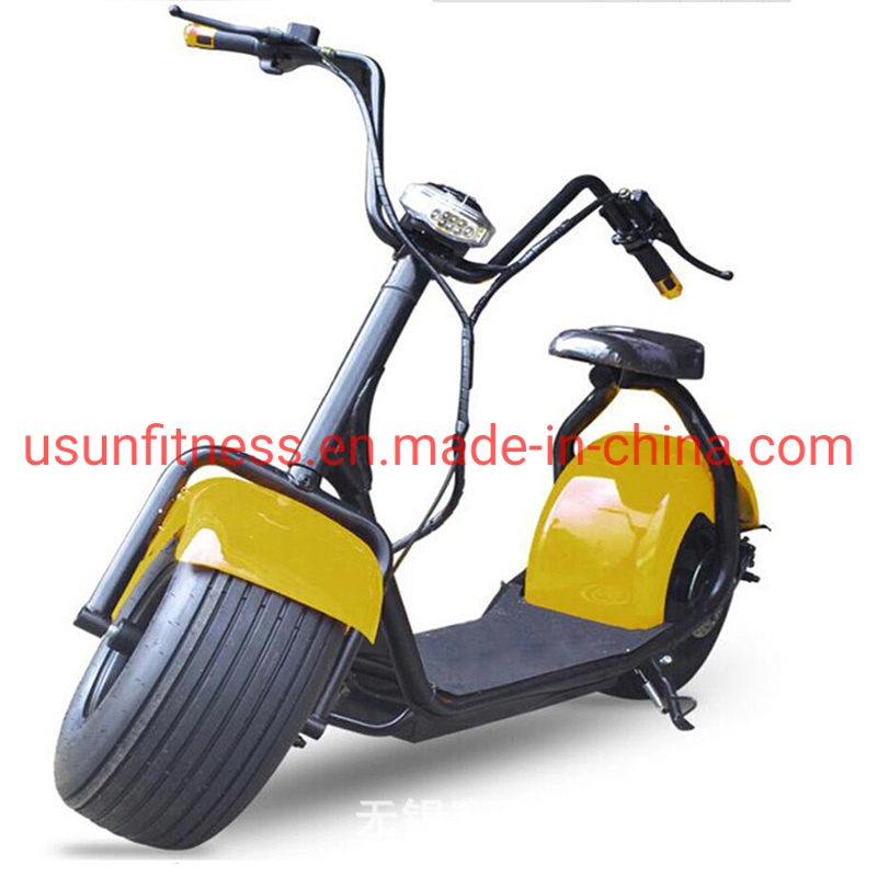 Promotion High Speed Electirc Motorcycle Motor Fat Tire Electric Bicycle with CE