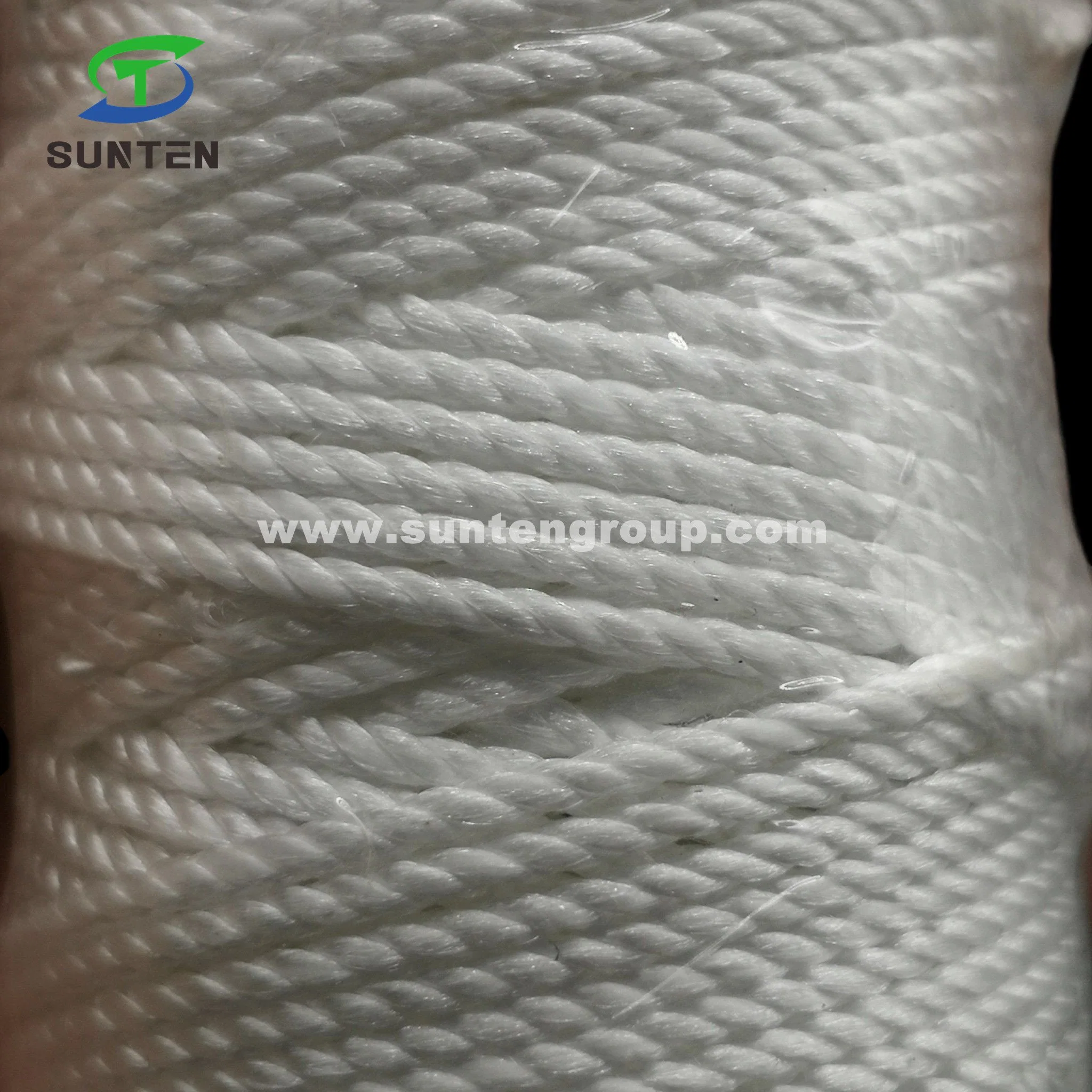 EU Standard High Tenacity PA/PE/PP/Polyester/Nylon/Polyethylene Plastic Twisted/Braided/Braid/Baler/Thread/Packing Line/Fishing Net Thread