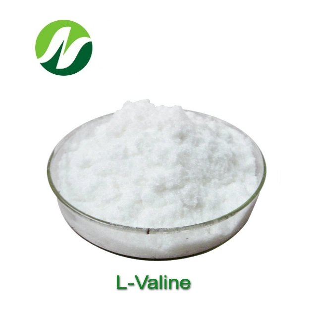 High-Quality L-Valine Powder for Feed/Food Grade Supplements