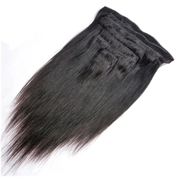 Natural Remy Blonde Brown Human Hair Clip in Hair Extensions