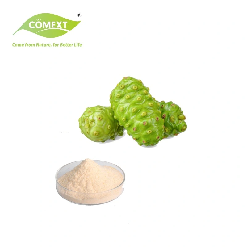 Comext activité anti-tumorale extrait de plante Morinda Citrifolia extrait / Pure Extrait de fruit Noni sans échantillon